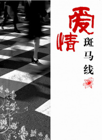 直插下半身